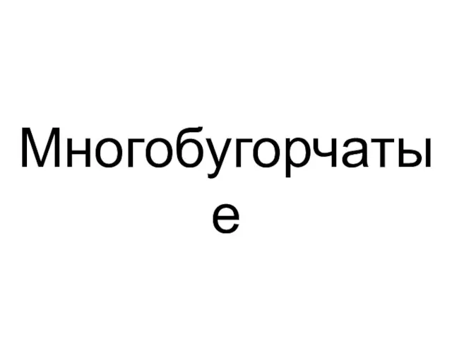 Многобугорчатые