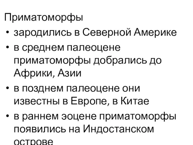 Приматоморфы зародились в Северной Америке в среднем палеоцене приматоморфы добрались до