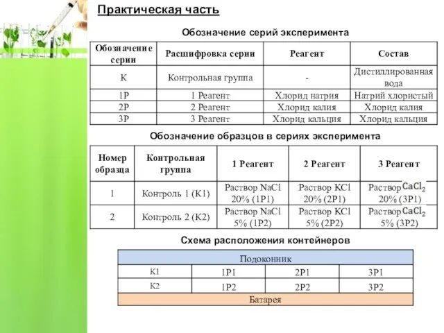 Практическая часть Схема расположения контейнеров Обозначение серий эксперимента Обозначение образцов в сериях эксперимента