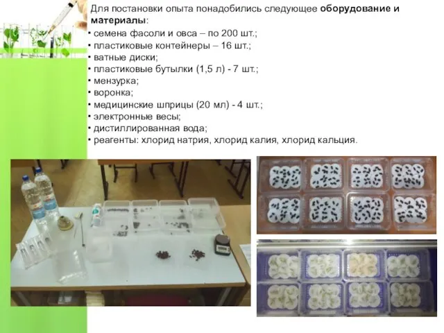 Для постановки опыта понадобились следующее оборудование и материалы: семена фасоли и