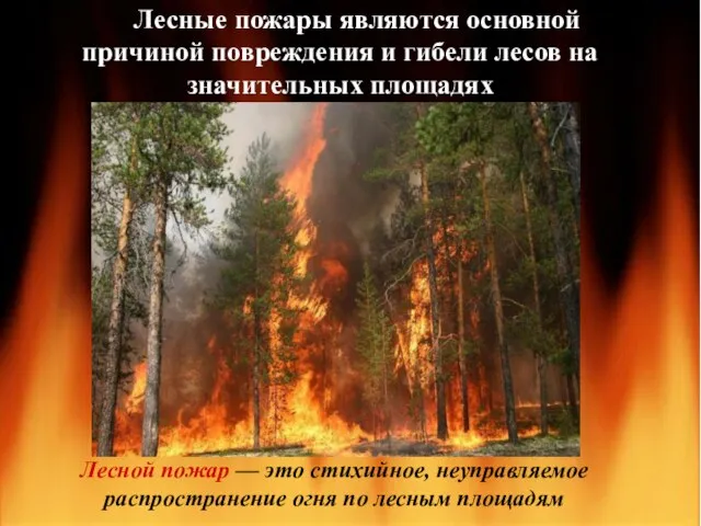 Лесной пожар — это стихийное, неуправляемое распространение огня по лесным площадям