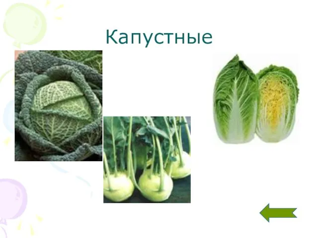 Капустные