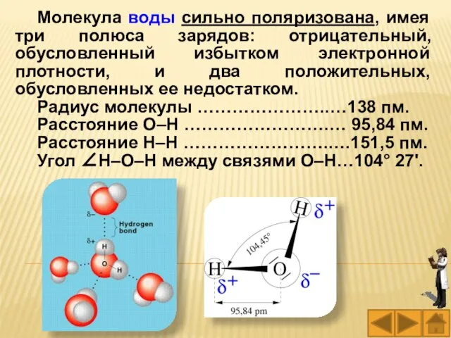 Молекула воды сильно поляризована, имея три полюса зарядов: отрицательный, обусловленный избытком