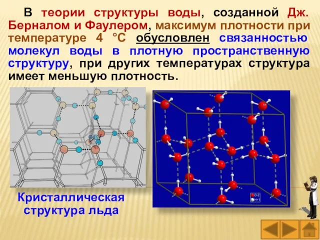 В теории структуры воды, созданной Дж. Берналом и Фаулером, максимум плотности