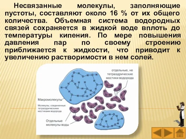 Несвязанные молекулы, заполняющие пустоты, составляют около 16 % от их общего