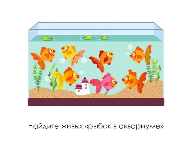Найдите живых «рыбок в аквариуме»