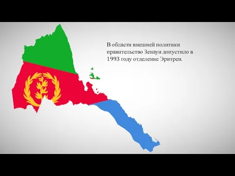 В области внешней политики правительство Зенауи допустило в 1993 году отделение Эритреи.