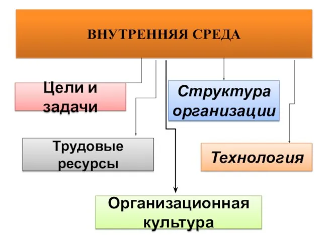 ВНУТРЕННЯЯ СРЕДА Цели и задачи Структура организации Технология Трудовые ресурсы Организационная культура