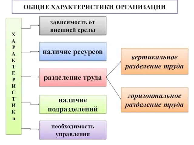 ОБЩИЕ ХАРАКТЕРИСТИКИ ОРГАНИЗАЦИИ зависимость от внешней среды наличие ресурсов разделение труда