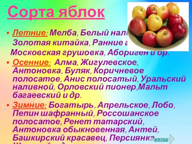 Сорта яблок Летние: Мелба, Белый налив, Золотая китайка, Ранние алое, Московская