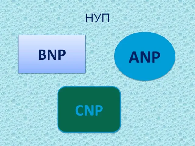 НУП BNP ANP CNP