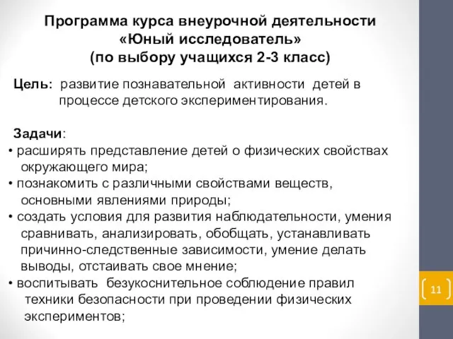 Программа курса внеурочной деятельности «Юный исследователь» (по выбору учащихся 2-3 класс)