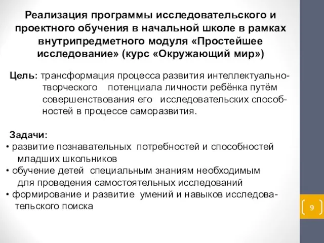 Реализация программы исследовательского и проектного обучения в начальной школе в рамках