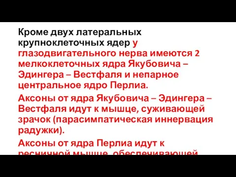 Кроме двух латеральных крупноклеточных ядер у глазодвигательного нерва имеются 2 мелкоклеточных