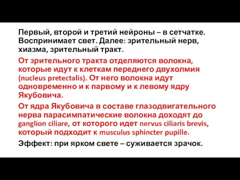 Первый, второй и третий нейроны – в сетчатке. Воспринимает свет. Далее: