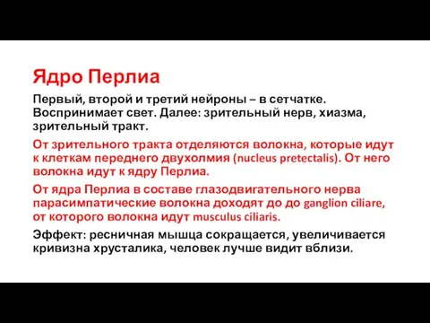 Ядро Перлиа Первый, второй и третий нейроны – в сетчатке. Воспринимает