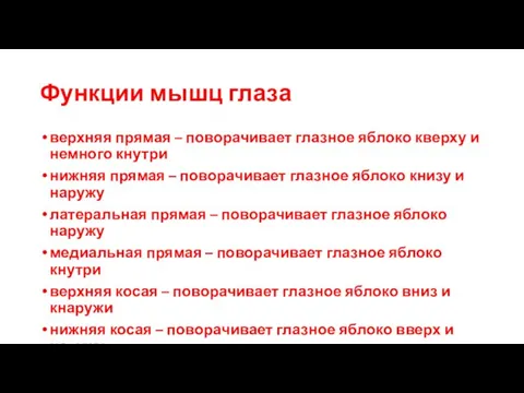 Функции мышц глаза верхняя прямая – поворачивает глазное яблоко кверху и