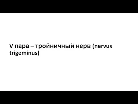 V пара – тройничный нерв (nervus trigeminus)