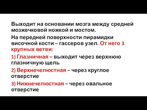 Выходит на основании мозга между средней мозжечковой ножкой и мостом. На