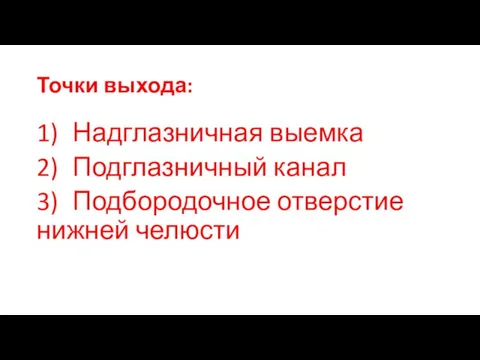 Точки выхода: 1) Надглазничная выемка 2) Подглазничный канал 3) Подбородочное отверстие нижней челюсти