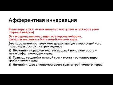 Афферентная иннервация Рецепторы кожи, от них импульс поступает в гассеров узел