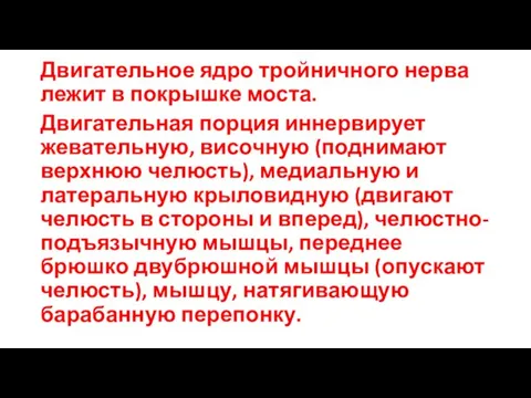 Двигательное ядро тройничного нерва лежит в покрышке моста. Двигательная порция иннервирует