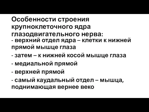 Особенности строения крупноклеточного ядра глазодвигательного нерва: - верхний отдел ядра –