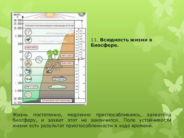 11. Всюдность жизни в биосфере. Жизнь постепенно, медленно приспосабливаясь, захватила биосферу,