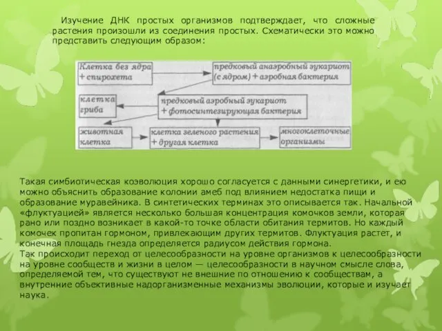 Изучение ДНК простых организмов подтверждает, что сложные растения произошли из соединения