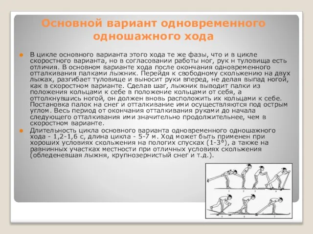 Основной вариант одновременного одношажного хода В цикле основного варианта этого хода