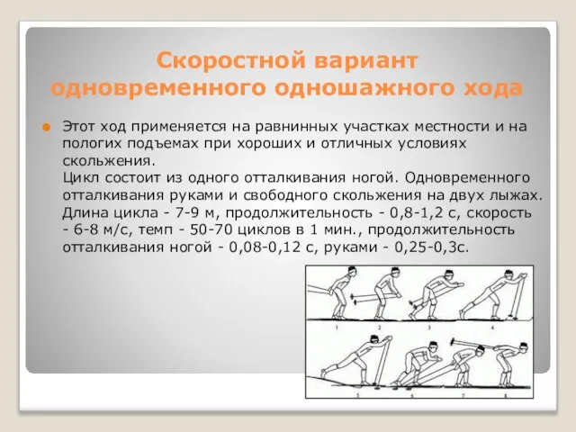 Скоростной вариант одновременного одношажного хода Этот ход применяется на равнинных участках