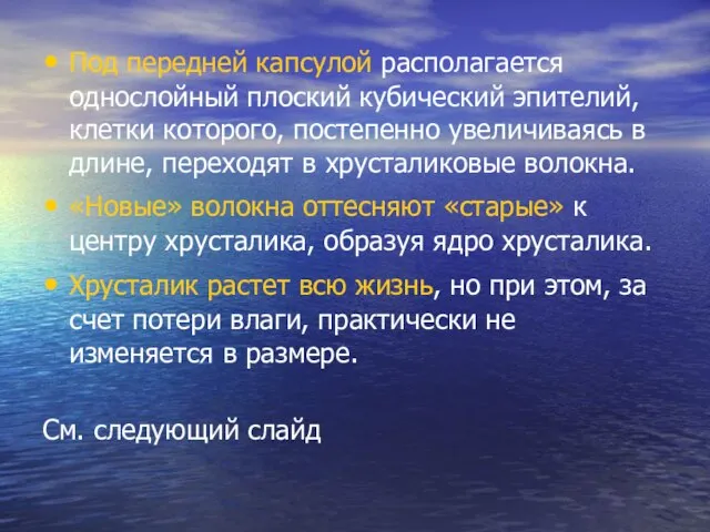 Под передней капсулой располагается однослойный плоский кубический эпителий, клетки которого, постепенно