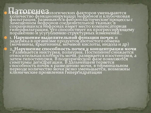 Под влиянием этиологических факторов уменьшаются количество функционирующих нефронов и клубочковая фильтрация,