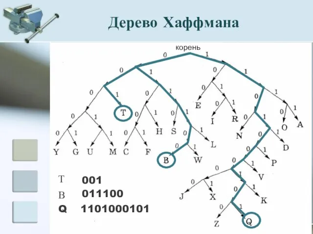 МОУ СОШ №33 с углубленным изучением математики г.Ярославля Т 001 В