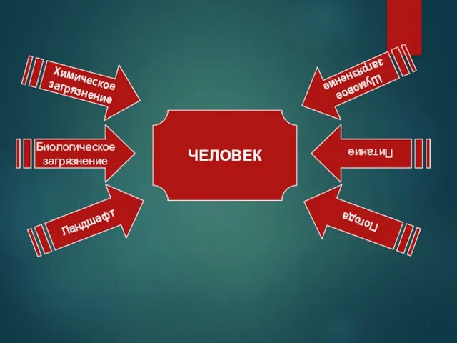 ЧЕЛОВЕК Питание Погода Шумовое загрязнение Биологическое загрязнение Ландшафт Химическое загрязнение