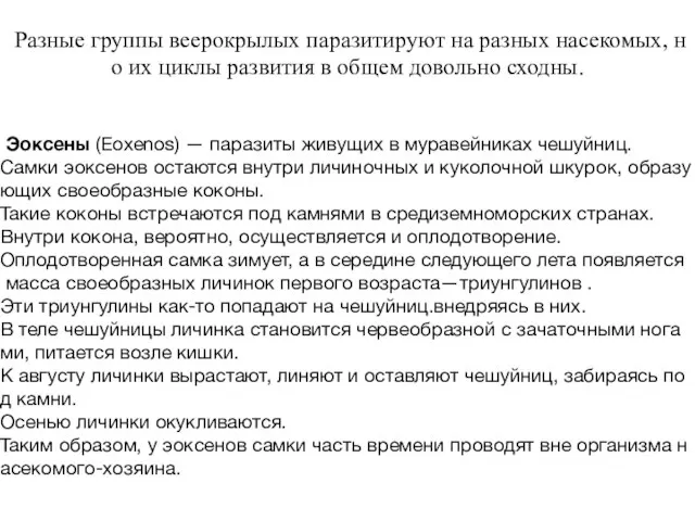 Разные группы веерокрылых паразитируют на разных насекомых, но их циклы развития