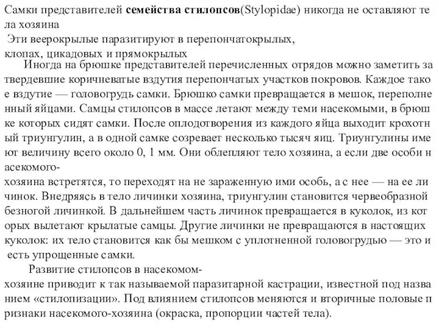 Самки представителей семейства стилопсов(Stylopidae) никогда не оставляют тела хозяина Эти веерокрылые