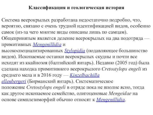 Классификация и геологическая история Система веерокрылых разработана недостаточно подробно, что, вероятно,