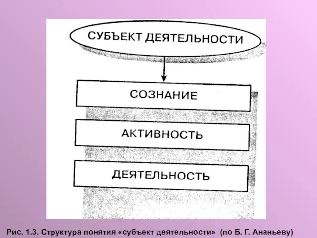 Рис. 1.3. Структура понятия «субъект деятельности» (по Б. Г. Ананьеву)