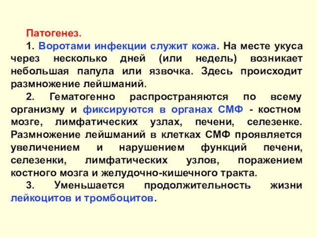 Патогенез. 1. Воротами инфекции служит кожа. На месте укуса через несколько