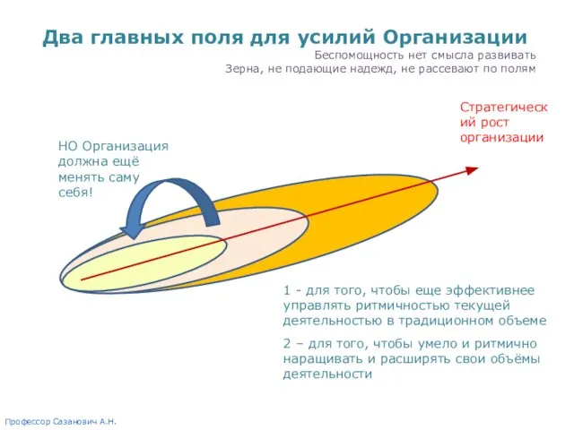 Стратегический рост организации НО Организация должна ещё менять саму себя! Два