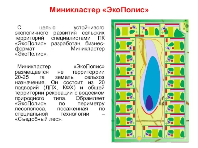 Миникластер «ЭкоПолис» С целью устойчивого экологичного развития сельских территорий специалистами ПК