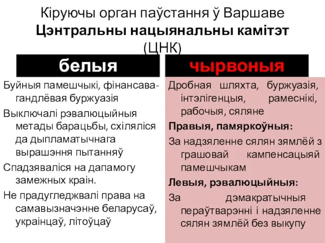 Кіруючы орган паўстання ў Варшаве Цэнтральны нацыянальны камітэт (ЦНК) белыя Буйныя