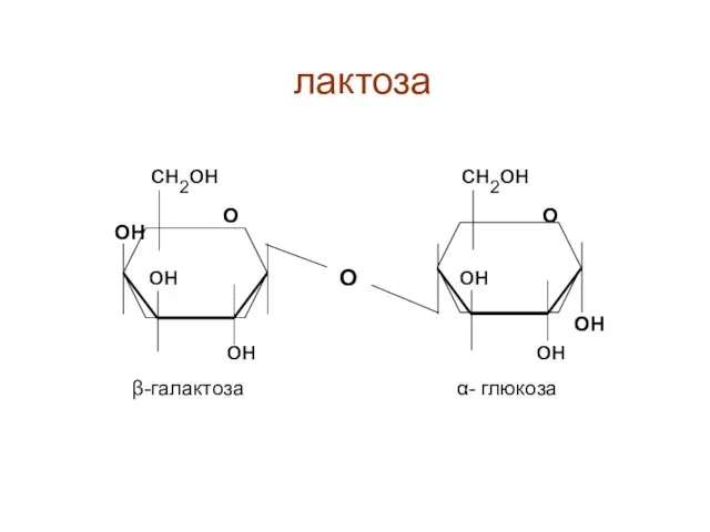 сн2он сн2он он он он он лактоза ОН О β-галактоза α- глюкоза ОН О О
