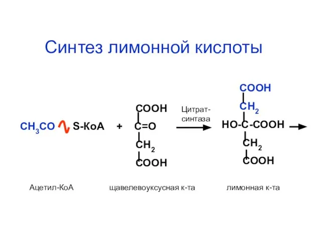 СООН СН3СО S-КоА + С=О СН2 СООН СООН СН2 НО-С-СООН СН2