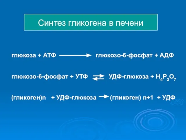 Синтез гликогена в печени глюкоза + АТФ глюкозо-6-фосфат + АДФ глюкозо-6-фосфат