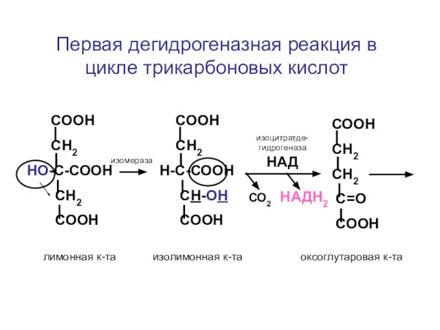 СООН СН2 НО-С-СООН СН2 СООН СООН СН2 Н-С-СООН СН-ОН СООН СООН