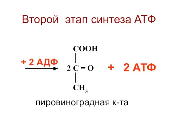 СООН 2 С = О СН3 + 2 АДФ + 2