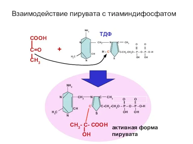 H3C NH2 N CH2 N C CH3 H - C C-CH2-CH2O