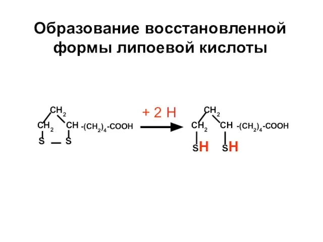 -(CH2)4-СООН CH2 CH2 CH S S Образование восстановленной формы липоевой кислоты